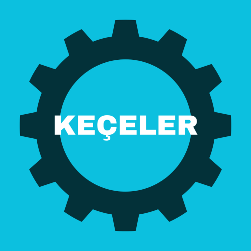 KEÇELER VE RULMANLAR