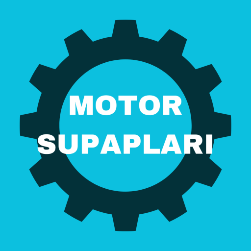 MOTOR SUPAPLARI